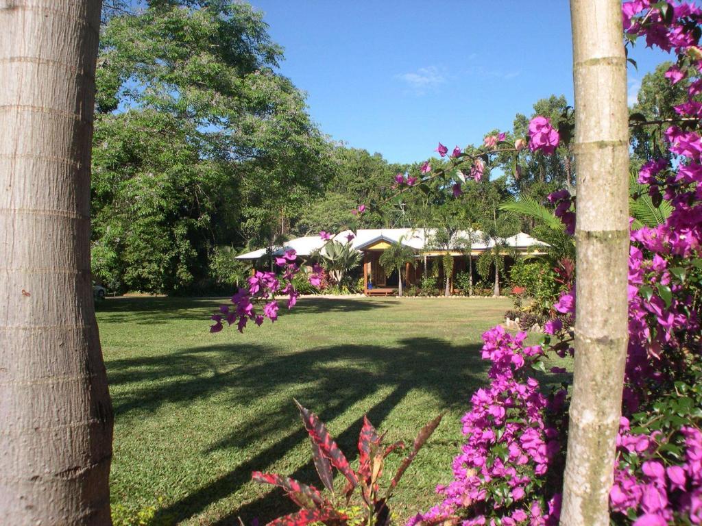 Hibiscus Lodge Bed & Breakfast Wongaling Beach Bagian luar foto